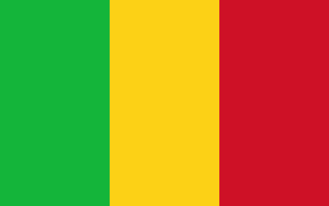 Communiqué des JRCF sur le coup d’Etat au Mali du 24 mai 2021