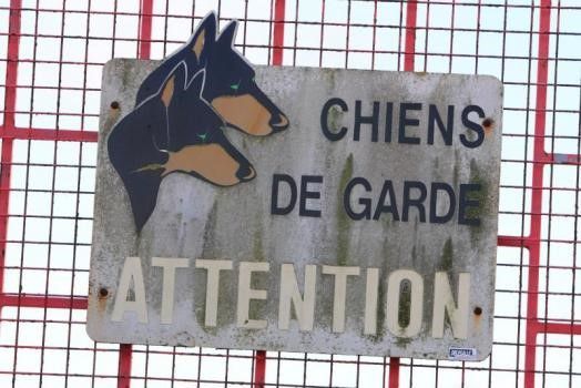 Chiens de garde des médias, chiens de garde d’extrême droite… même combat !